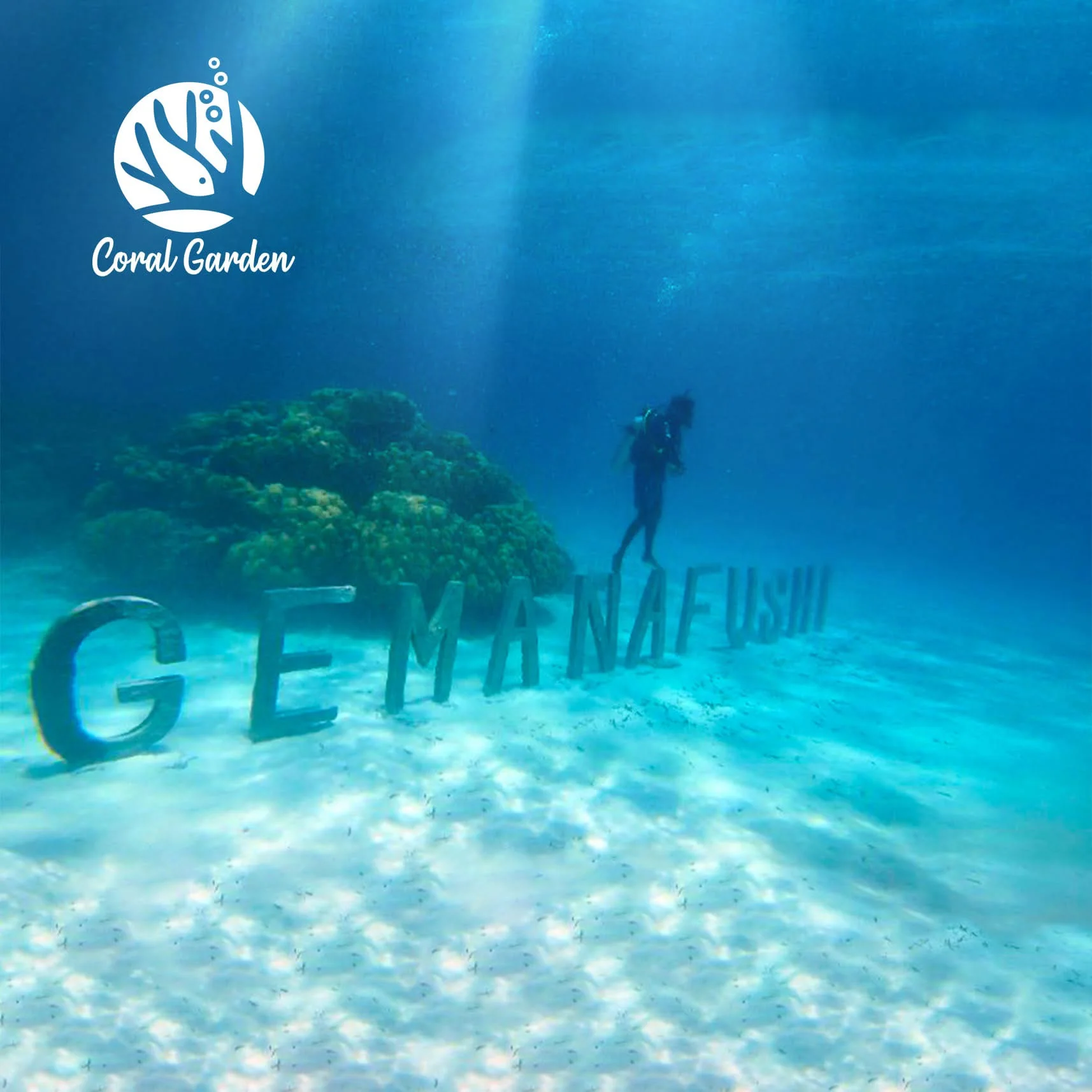 Coral Garden - Image 1